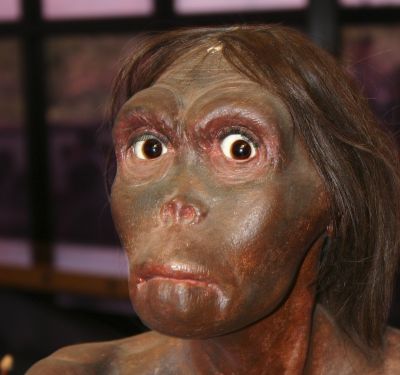 Neandertalczyk - wymarły przedstawiciel rodzaju Homo
