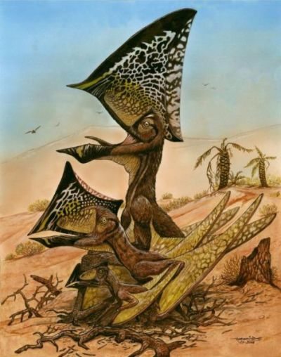 Tak mogły wyglądać pterozaury z nowo odkrytego gatunku Caiuajara dobruskii na różnych etapach rozwoju. Fot. Maurilio Oliveira-Museu Nacional-UFRJ