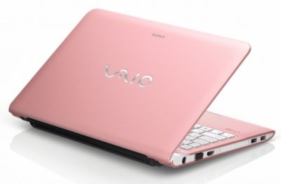 Sony_VAIO_SVE1111M1E_tyt.jpg