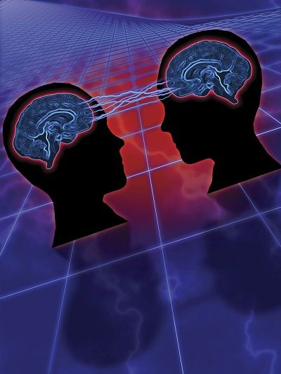 połączone dwa mózgi