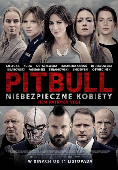 PITBULL. NIEBEZPIECZNE KOBIETY - plakat promujący film