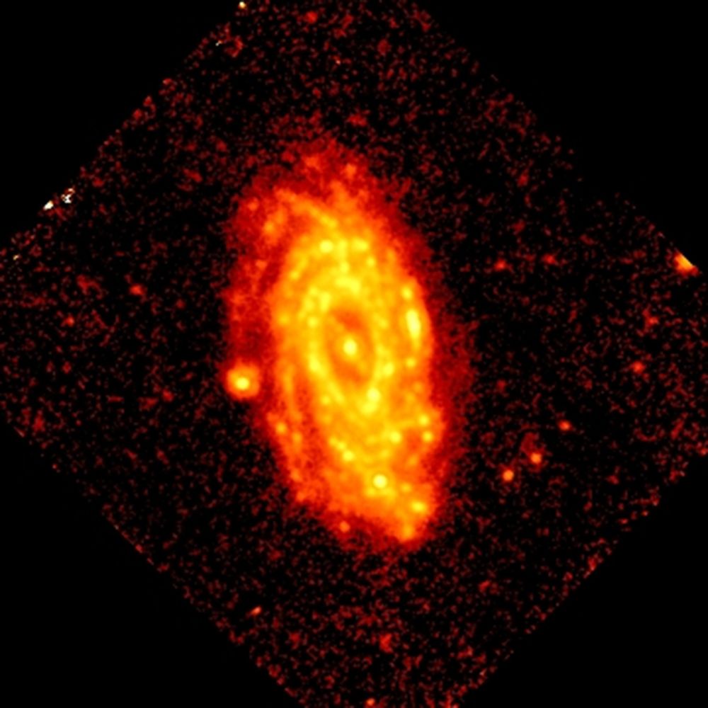 galaktyka NGC3953